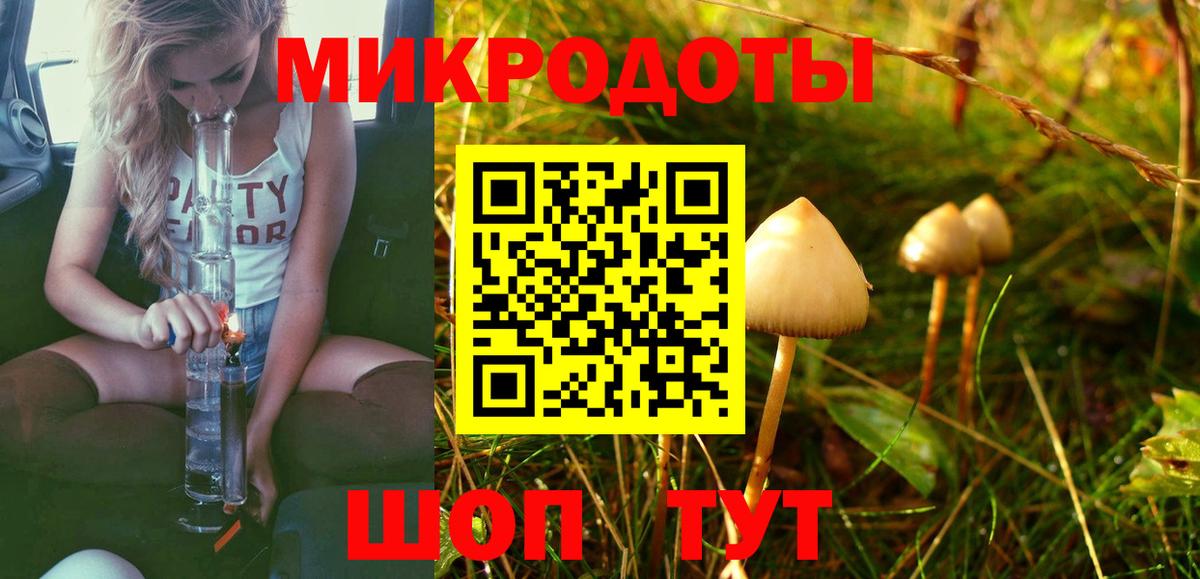 Галлюциногенные грибы Cubensis  Вход с VPN  Нерюнгри 